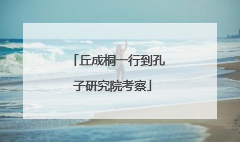 丘成桐一行到孔子研究院考察