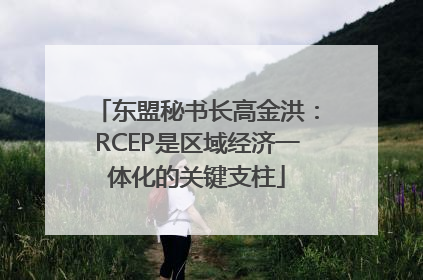 东盟秘书长高金洪：RCEP是区域经济一体化的关键支柱