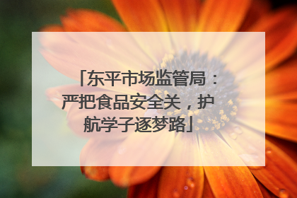 东平市场监管局：严把食品安全关，护航学子逐梦路