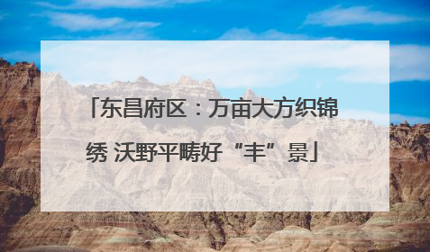 东昌府区：万亩大方织锦绣 沃野平畴好“丰”景