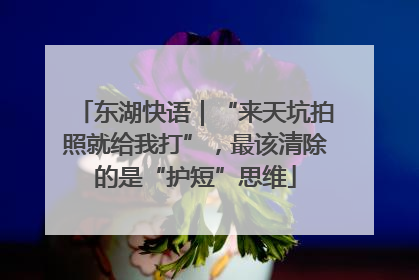 东湖快语｜“来天坑拍照就给我打”，最该清除的是“护短”思维