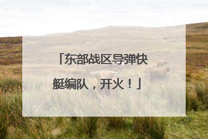 东部战区导弹快艇编队，开火！