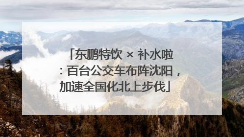 东鹏特饮 × 补水啦：百台公交车布阵沈阳，加速全国化北上步伐