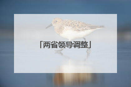 两省领导调整