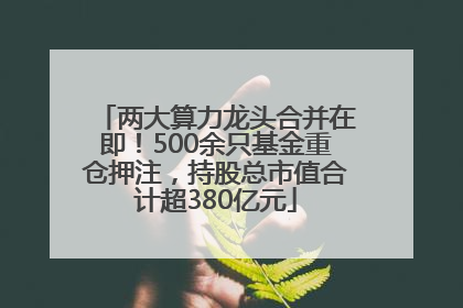 两大算力龙头合并在即！500余只基金重仓押注，持股总市值合计超380亿元