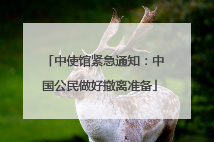 中使馆紧急通知：中国公民做好撤离准备