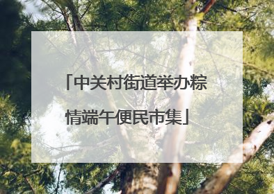 中关村街道举办粽情端午便民市集