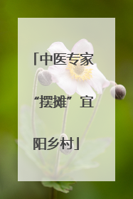 中医专家“摆摊”宜阳乡村