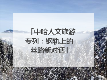 中哈人文旅游专列：钢轨上的丝路新对话