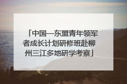 中国—东盟青年领军者成长计划研修班赴柳州三江多地研学考察