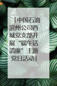 中国石油滨州公司西城党支部开展“端午话清廉”主题党日活动