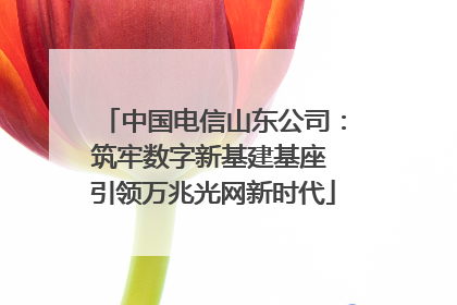 中国电信山东公司：筑牢数字新基建基座 引领万兆光网新时代