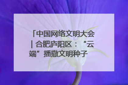 中国网络文明大会｜合肥庐阳区：“云端”播撒文明种子 共建清朗网络空间