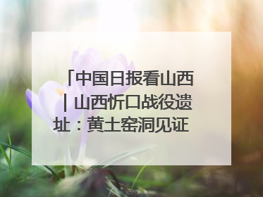 中国日报看山西｜山西忻口战役遗址：黄土窑洞见证全民抗战记忆