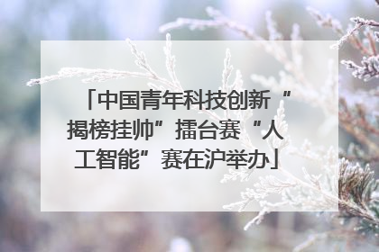 中国青年科技创新“揭榜挂帅”擂台赛“人工智能”赛在沪举办