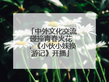 中外文化交流 碰撞青春火花，《小伙小妹换游记》开播