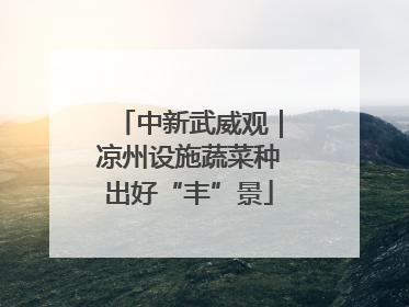 中新武威观｜凉州设施蔬菜种出好“丰”景