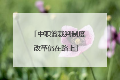 中职篮裁判制度改革仍在路上