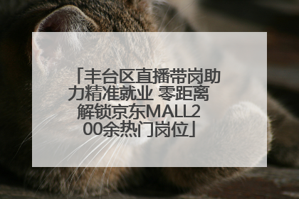 丰台区直播带岗助力精准就业 零距离解锁京东MALL200余热门岗位
