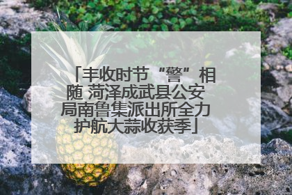 丰收时节“警”相随 菏泽成武县公安局南鲁集派出所全力护航大蒜收获季