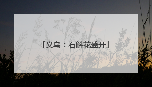 义乌：石斛花盛开