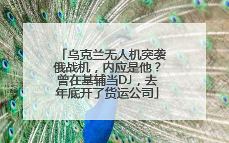 乌克兰无人机突袭俄战机，内应是他？曾在基辅当DJ，去年底开了货运公司