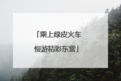 乘上绿皮火车 慢游精彩东营