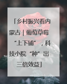 乡村振兴看内蒙古｜葡萄草莓“上下铺”，科技小院“种”出三倍效益