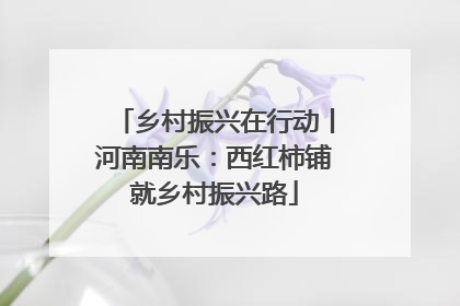 乡村振兴在行动丨河南南乐：西红柿铺就乡村振兴路