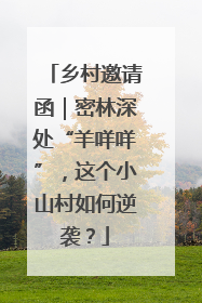 乡村邀请函｜密林深处“羊咩咩”，这个小山村如何逆袭？