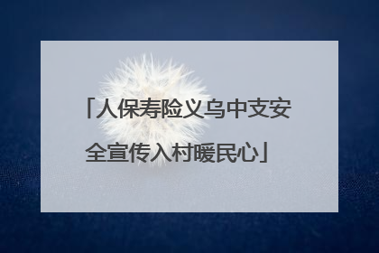 人保寿险义乌中支安全宣传入村暖民心