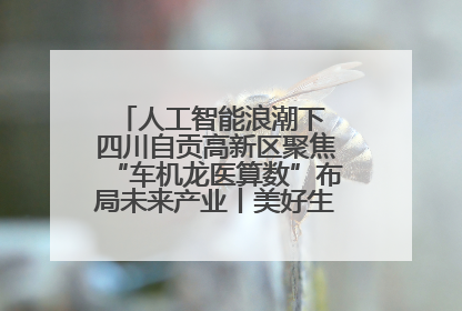 人工智能浪潮下 四川自贡高新区聚焦“车机龙医算数”布局未来产业丨美好生活有“盐”味