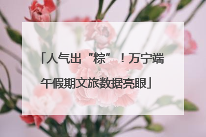 人气出“粽”！万宁端午假期文旅数据亮眼