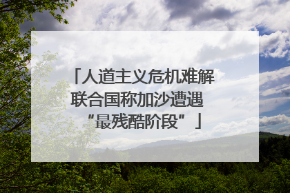人道主义危机难解 联合国称加沙遭遇“最残酷阶段”