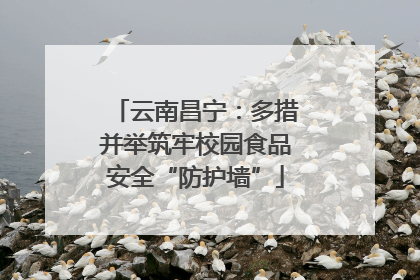 云南昌宁：多措并举筑牢校园食品安全“防护墙”