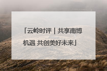 云岭时评｜共享南博机遇 共创美好未来