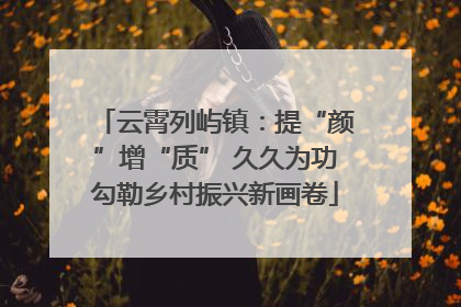 云霄列屿镇：提“颜”增“质” 久久为功勾勒乡村振兴新画卷
