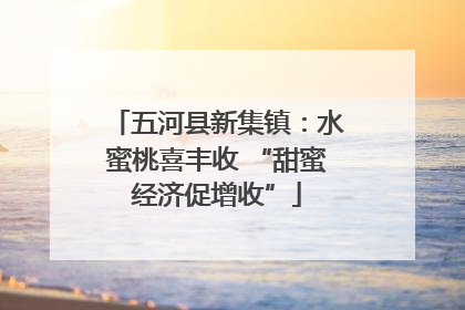 五河县新集镇：水蜜桃喜丰收 “甜蜜经济促增收”