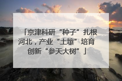 京津科研“种子”扎根河北，产业“土壤”培育创新“参天大树”