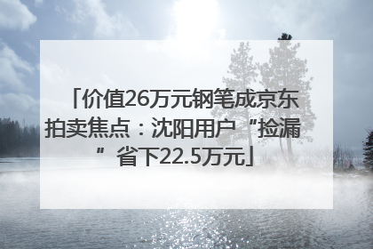 价值26万元钢笔成京东拍卖焦点：沈阳用户“捡漏”省下22.5万元
