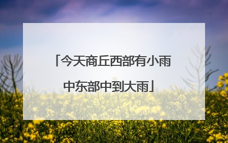 今天商丘西部有小雨 中东部中到大雨