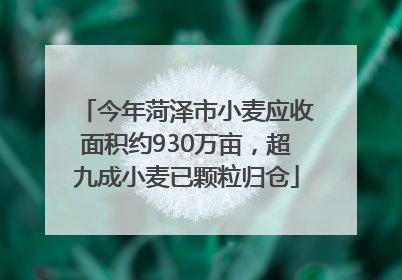 今年菏泽市小麦应收面积约930万亩，超九成小麦已颗粒归仓