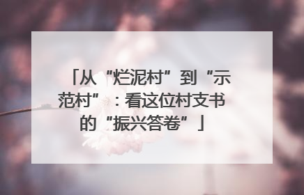 从“烂泥村”到“示范村”：看这位村支书的“振兴答卷”