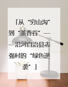 从“穷山沟”到“茶香谷”——沿河自治县志强村的“绿色逆袭”