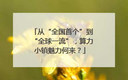 从“全国首个”到“全球一流”，算力小镇魅力何来？