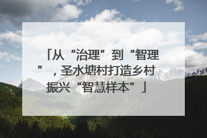 从“治理”到“智理”，圣水塘村打造乡村振兴“智慧样本”