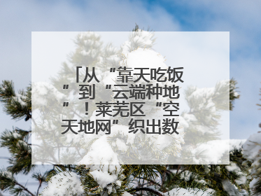 从“靠天吃饭”到“云端种地”！莱芜区“空天地网”织出数字农业新图景