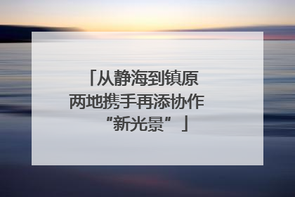 从静海到镇原 两地携手再添协作“新光景”