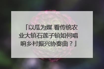 以瓜为媒 看传统农业大镇石莲子镇如何唱响乡村振兴协奏曲？