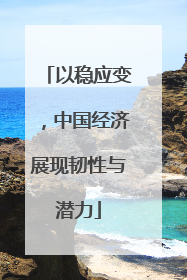 以稳应变，中国经济展现韧性与潜力